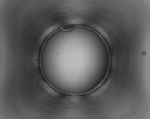 X0000101390930200807141129