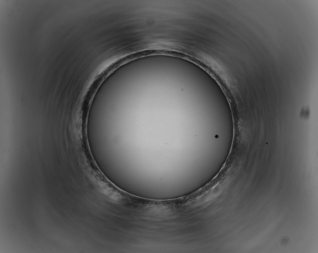 X0000101390931200807141129