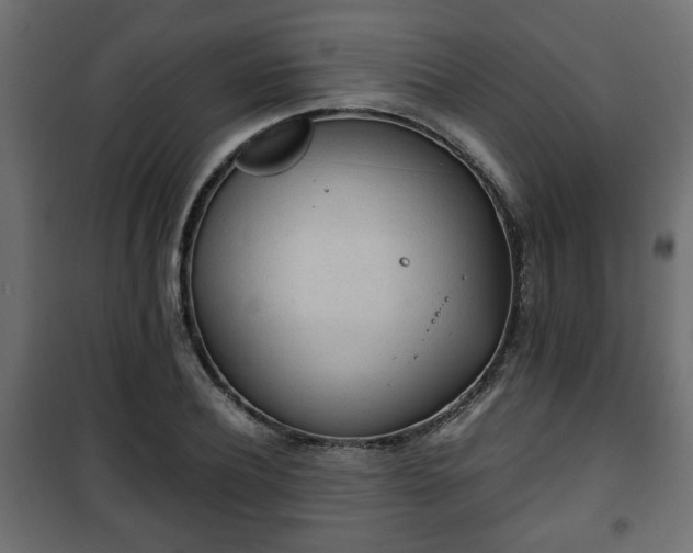 X0000101390932200807141129