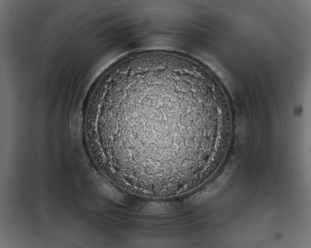 X0000101390933200807141129