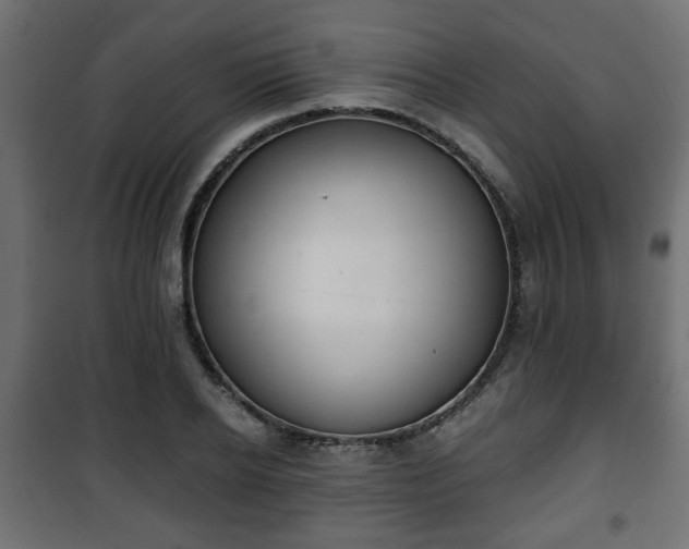 X0000101390934200807141129