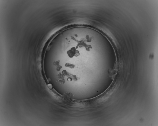 X0000101390935200807141129