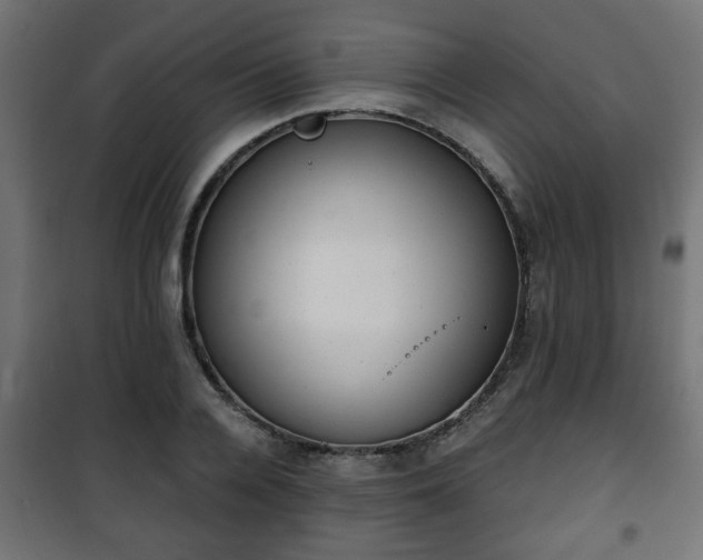 X0000101390936200807141129