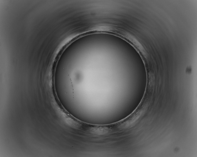 X0000101390939200807141129