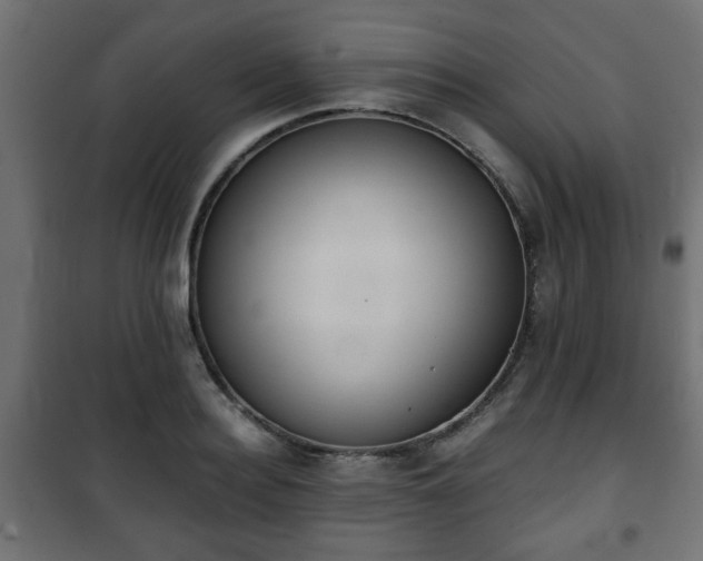 X0000101390940200807141129