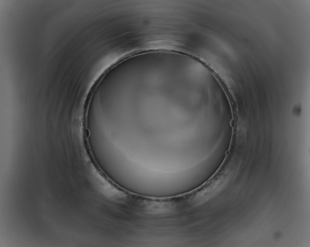 X0000101390941200807141129