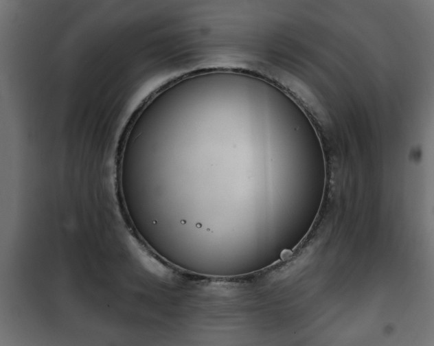 X0000101390942200807141129