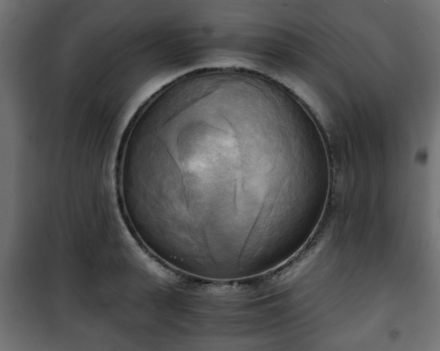 X0000101390943200807141129