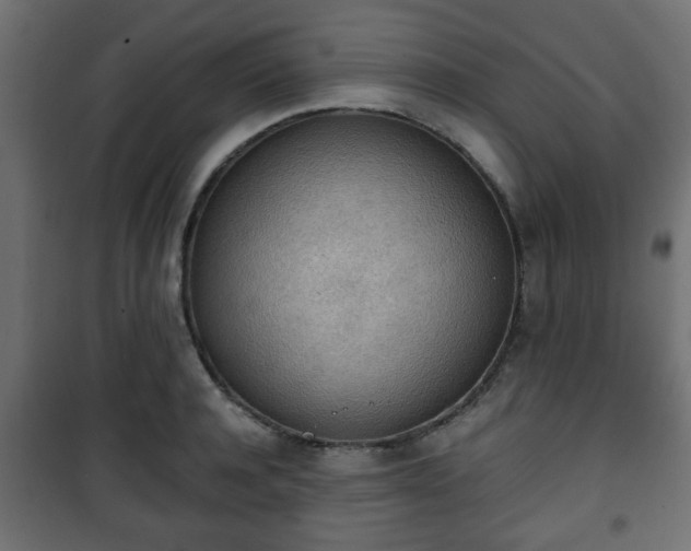 X0000101390944200807141129