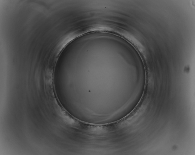 X0000101390945200807141129