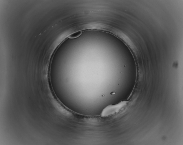 X0000101390946200807141129