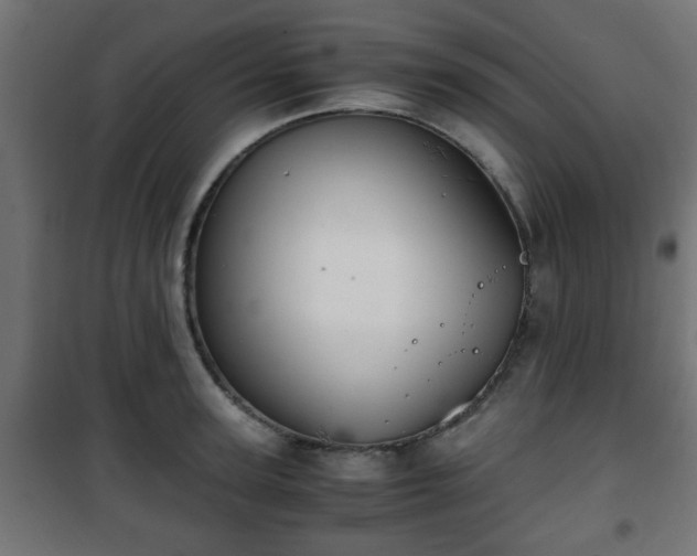 X0000101390947200807141129