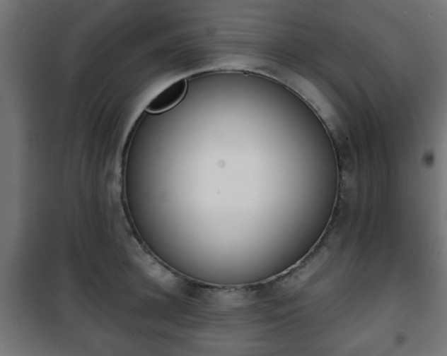 X0000101390948200807141129