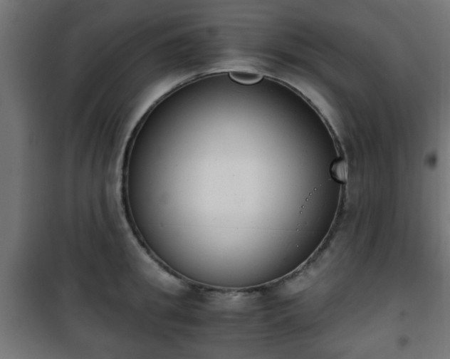 X0000101390949200807141129