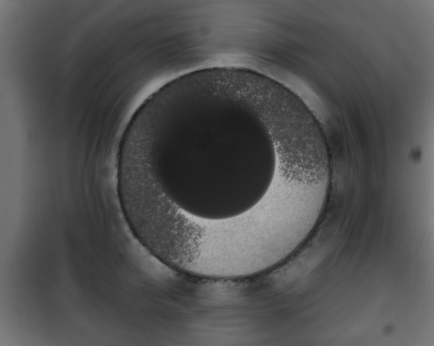 X0000101390950200807141129