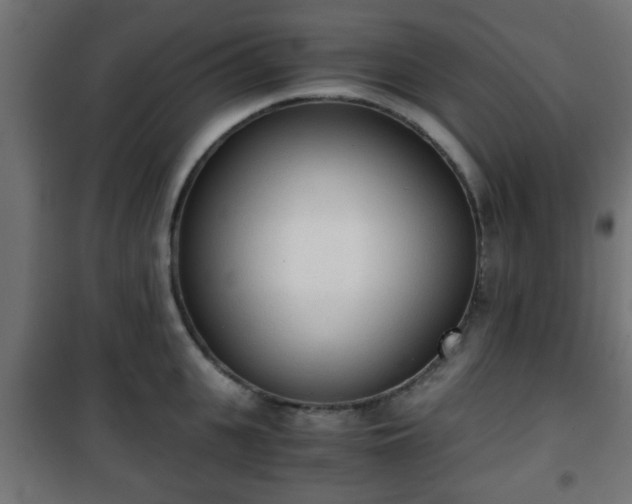 X0000101390951200807141129