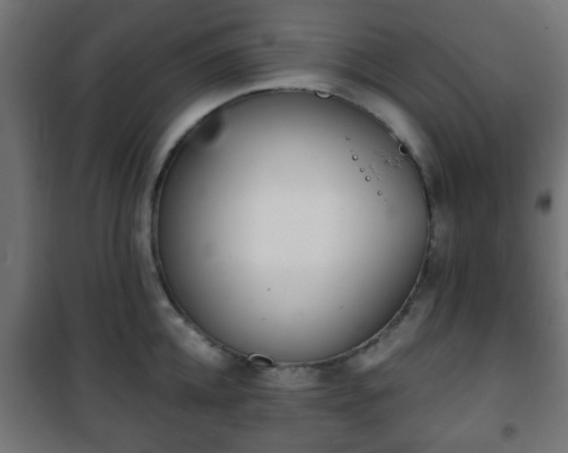 X0000101390952200807141129