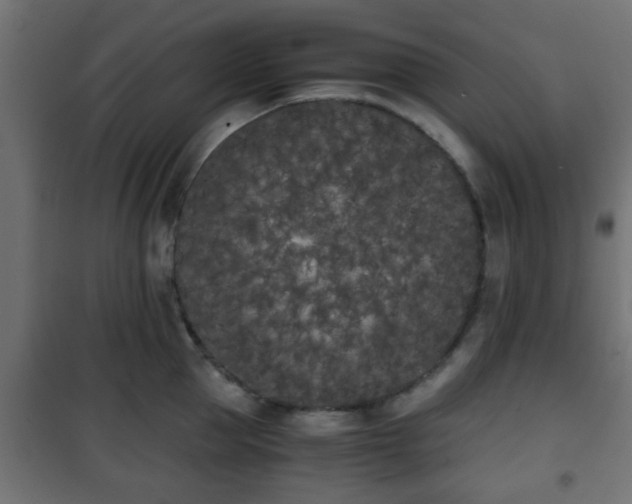 X0000101390953200807141129