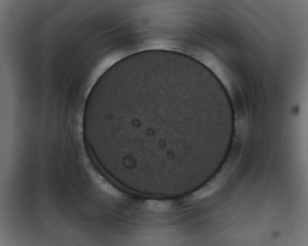 X0000101390954200807141129