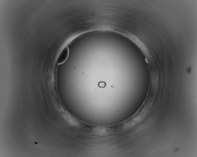 X0000101390956200807141129