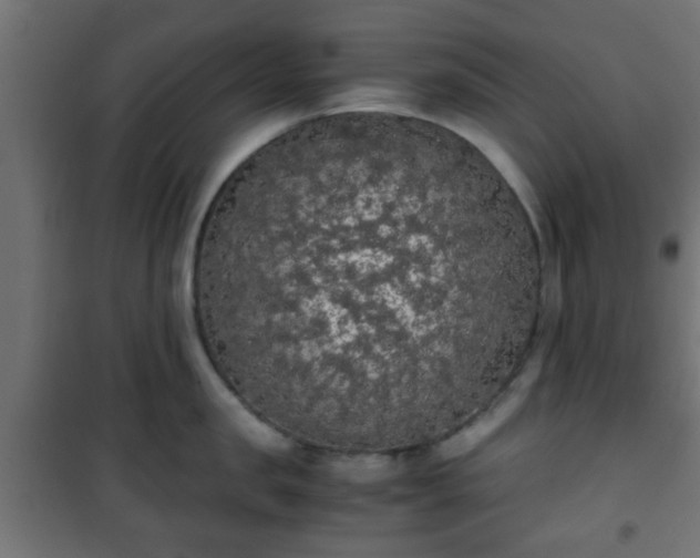 X0000101390957200807141129