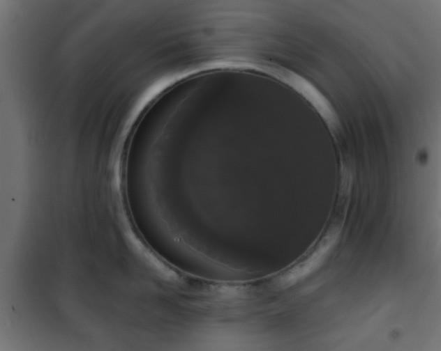 X0000101390958200807141129