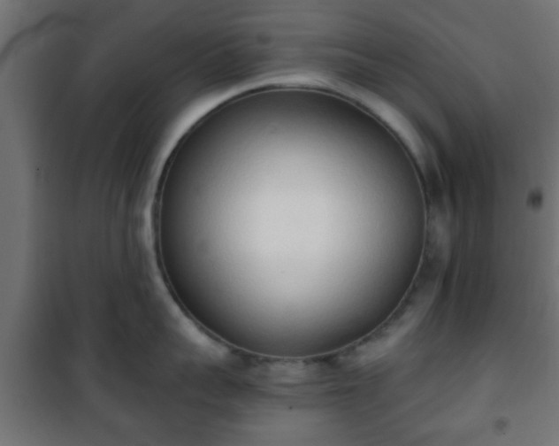 X0000101390959200807141129