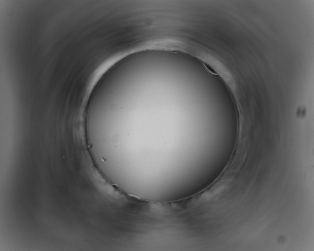 X0000101390960200807141129