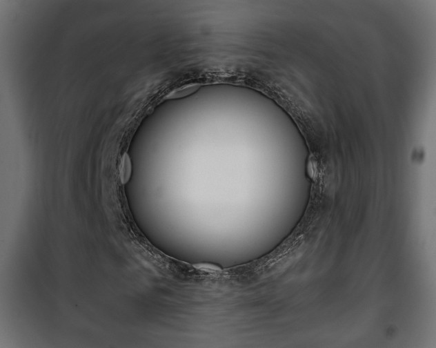 X0000101390961200807141129