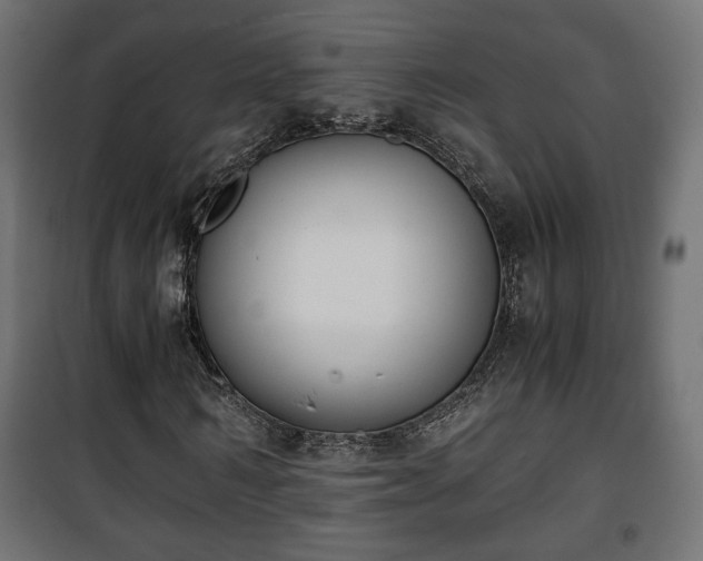 X0000101390962200807141129