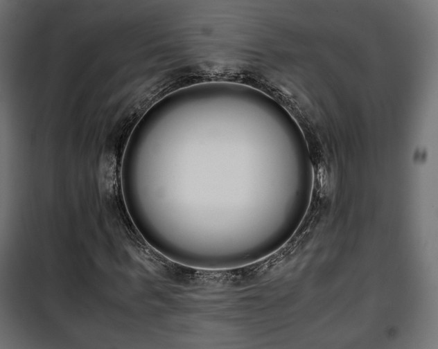 X0000101390963200807141129