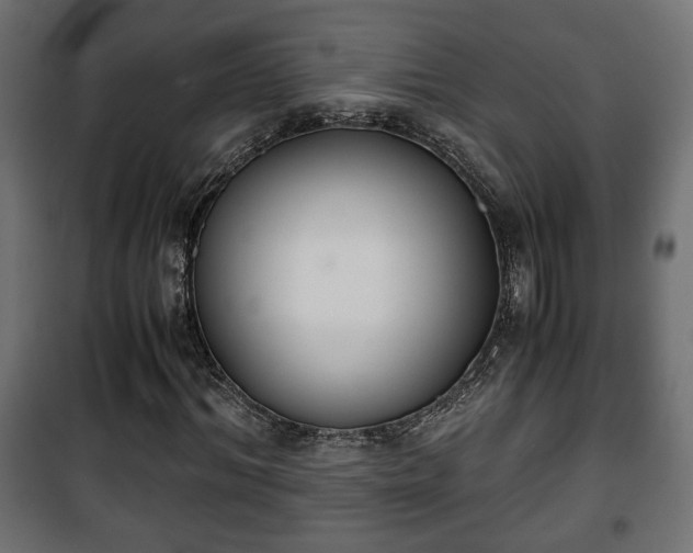 X0000101390964200807141129