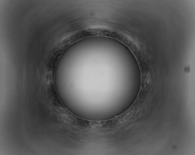 X0000101390965200807141129