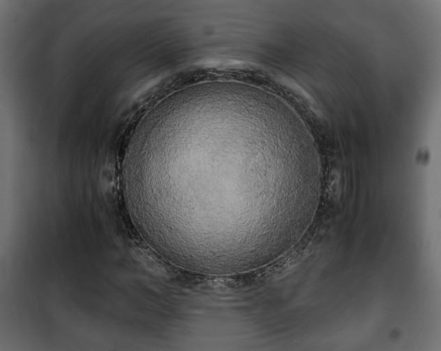 X0000101390966200807141129