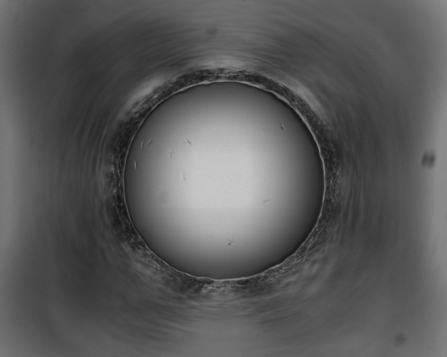 X0000101390967200807141129