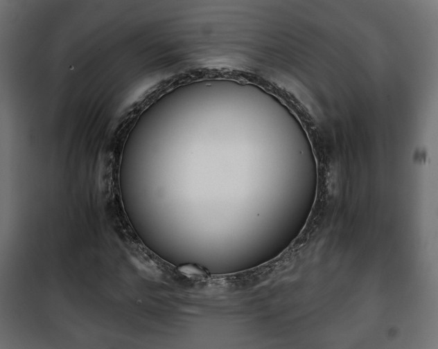 X0000101390968200807141129