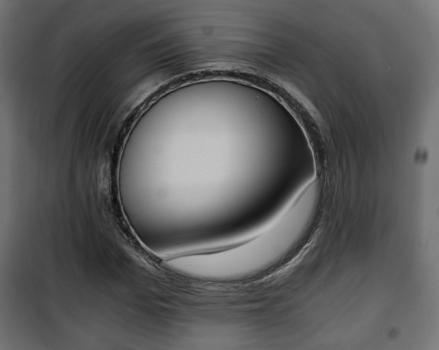 X0000101390969200807141129