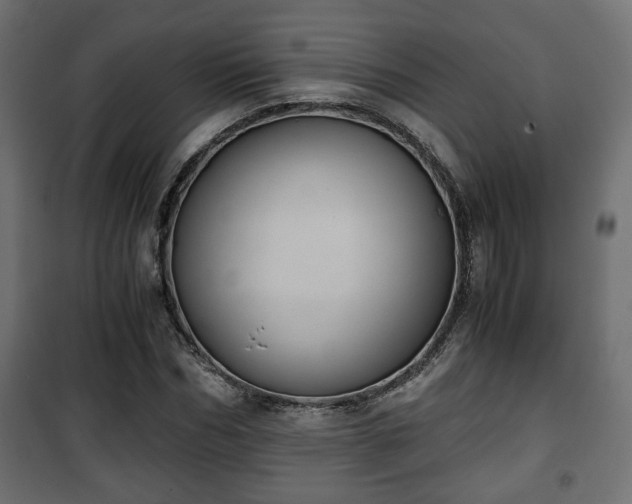 X0000101390970200807141129