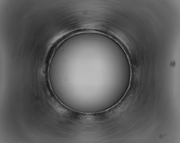 X0000101390971200807141129