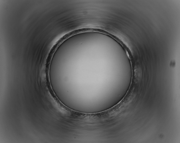 X0000101390972200807141129