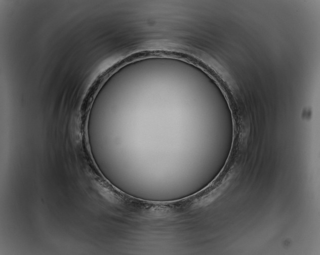 X0000101390974200807141129