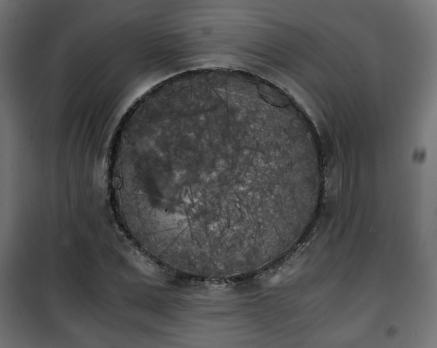 X0000101390975200807141129