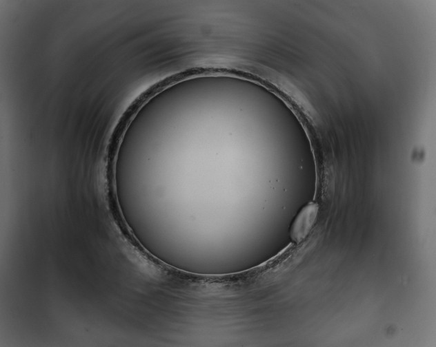 X0000101390976200807141129