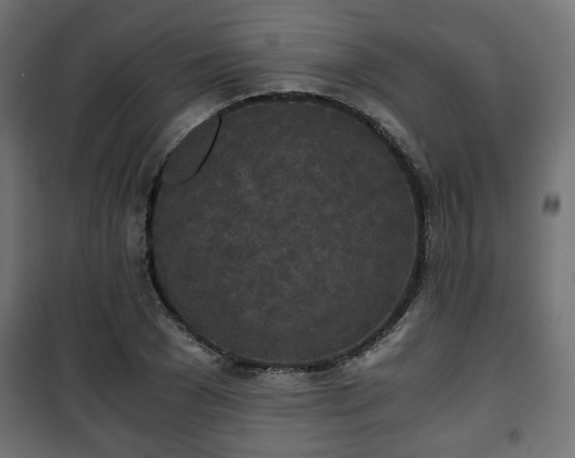 X0000101390977200807141129