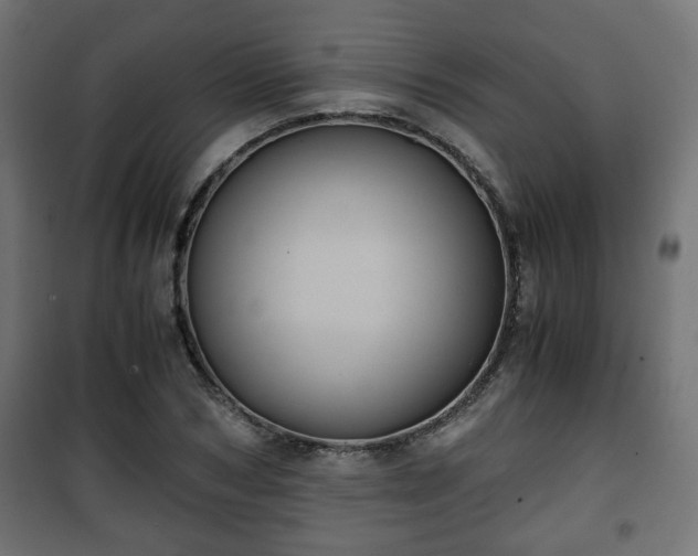 X0000101390978200807141128