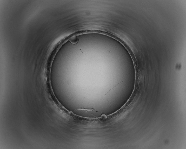 X0000101390979200807141128