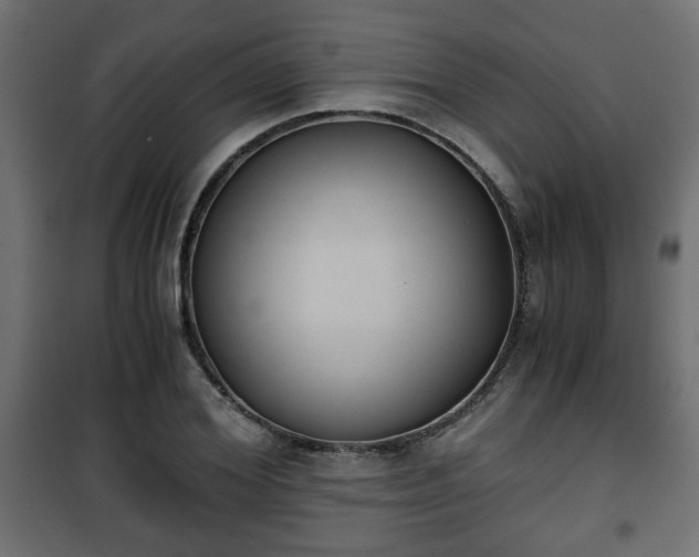 X0000101390980200807141128