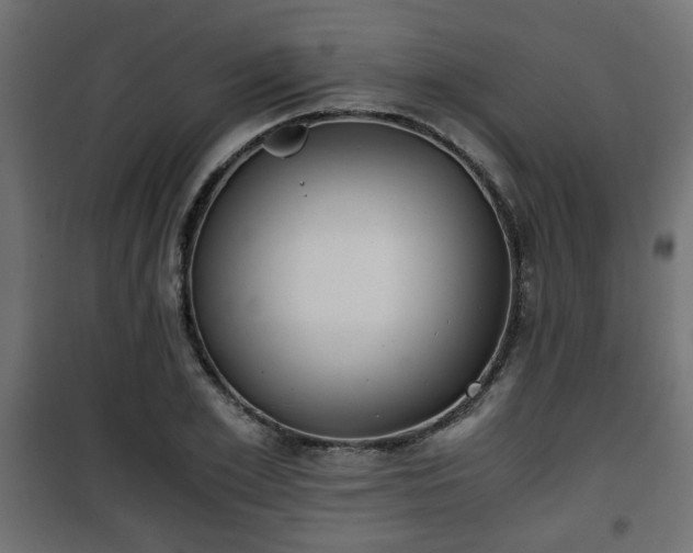 X0000101390981200807141128