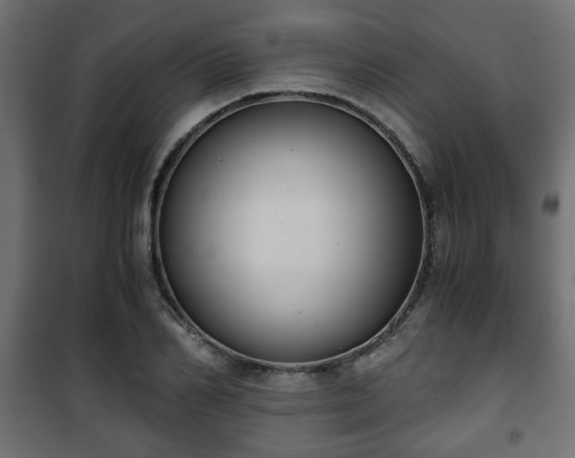 X0000101390982200807141128