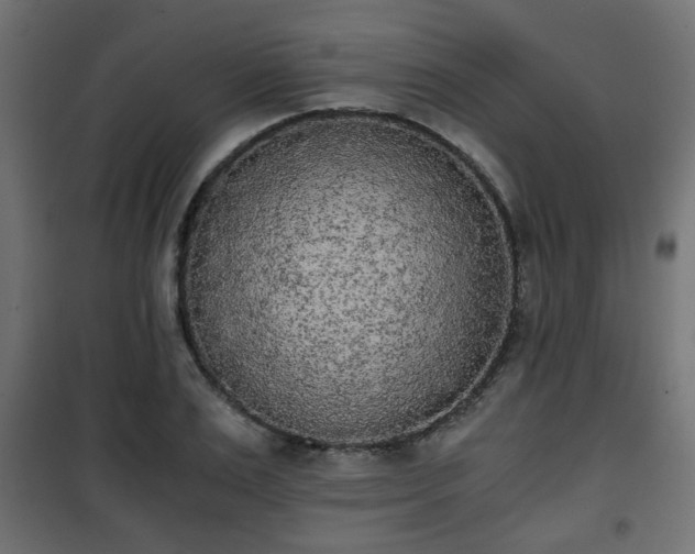 X0000101390983200807141128